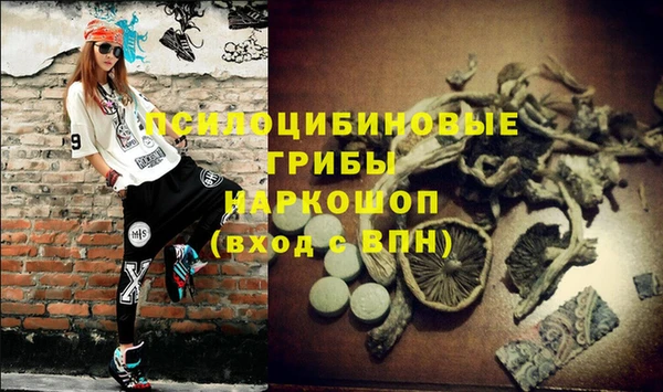 спиды Слюдянка