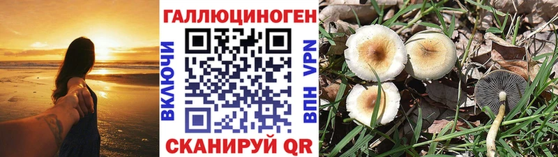 Псилоцибиновые грибы мицелий Красноуральск